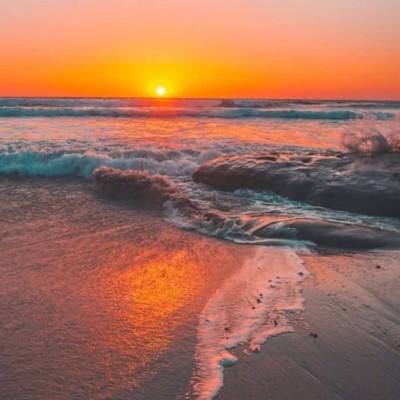 凤凰彩票进入网址截图